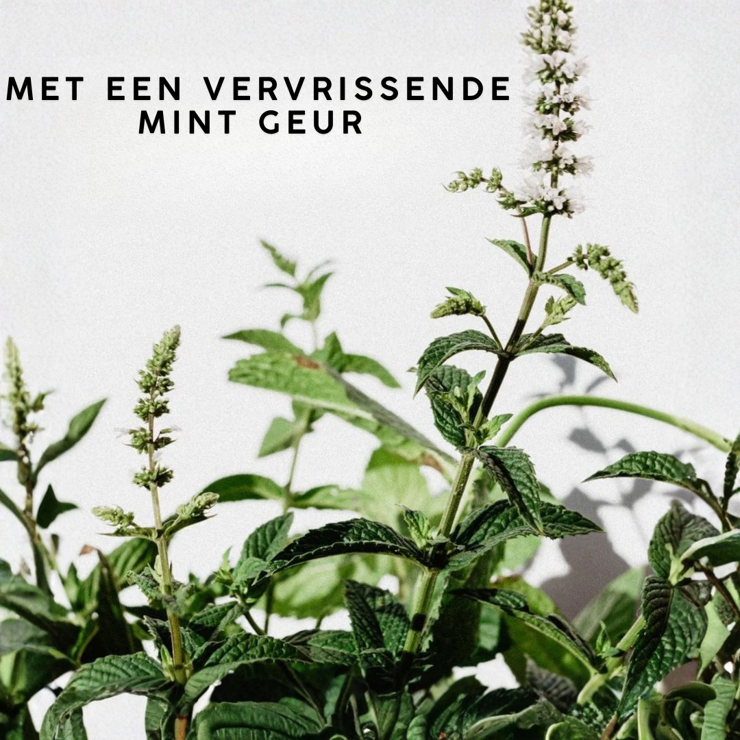 Beco hondenpoep zakjes (per stuk)