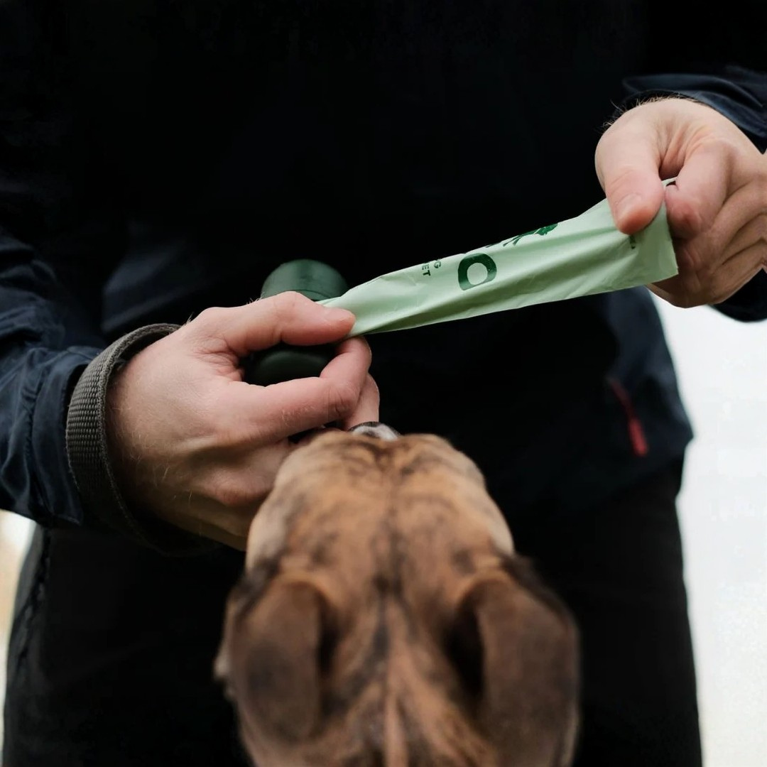 Beco hondenpoep zakjes (per stuk)