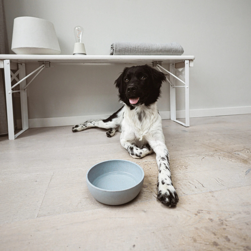 BAMBOO Voerbak voor Honden