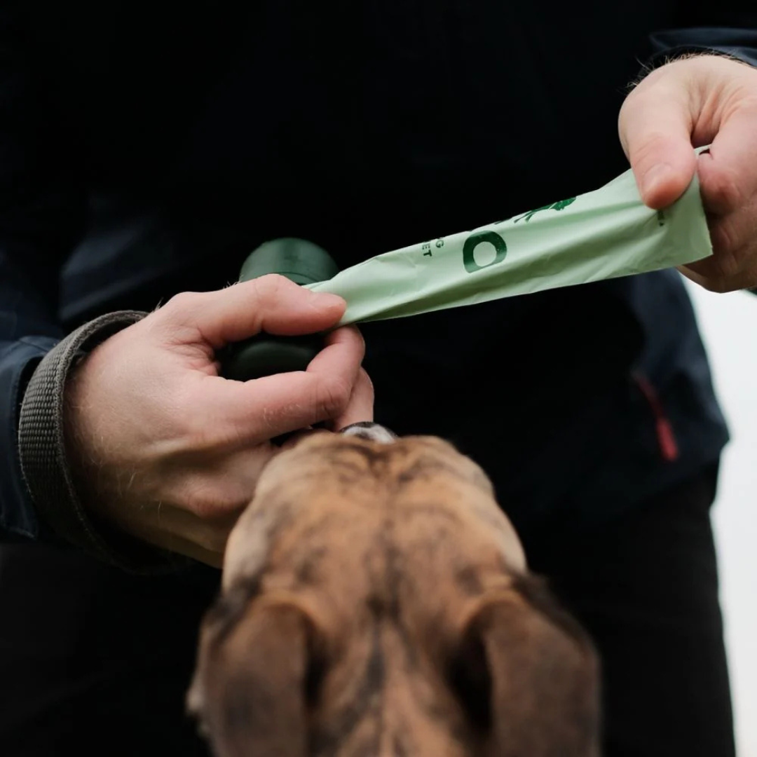 Poepzakjes Gerecycled – Zonder Geur Jumboverpakking (540 stuks)