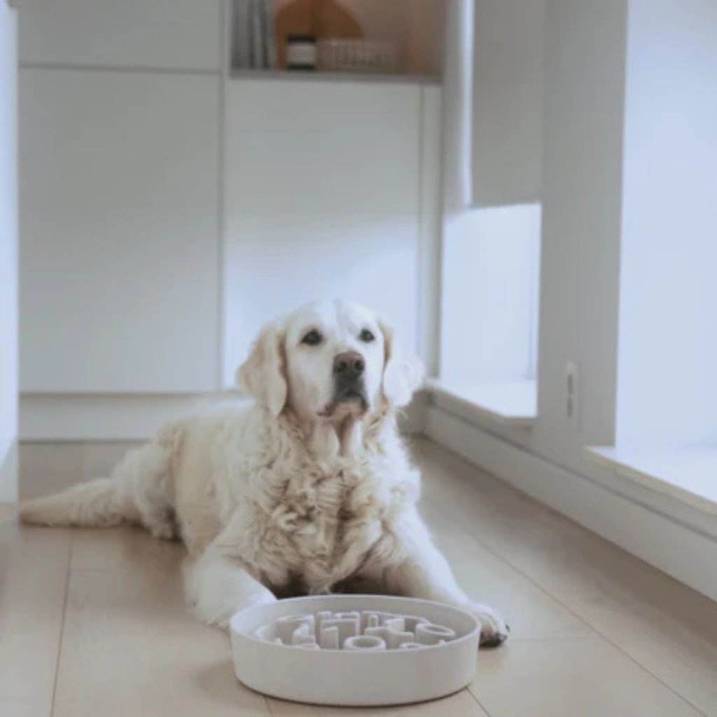 BAMBOO Slow Feeder voor Honden