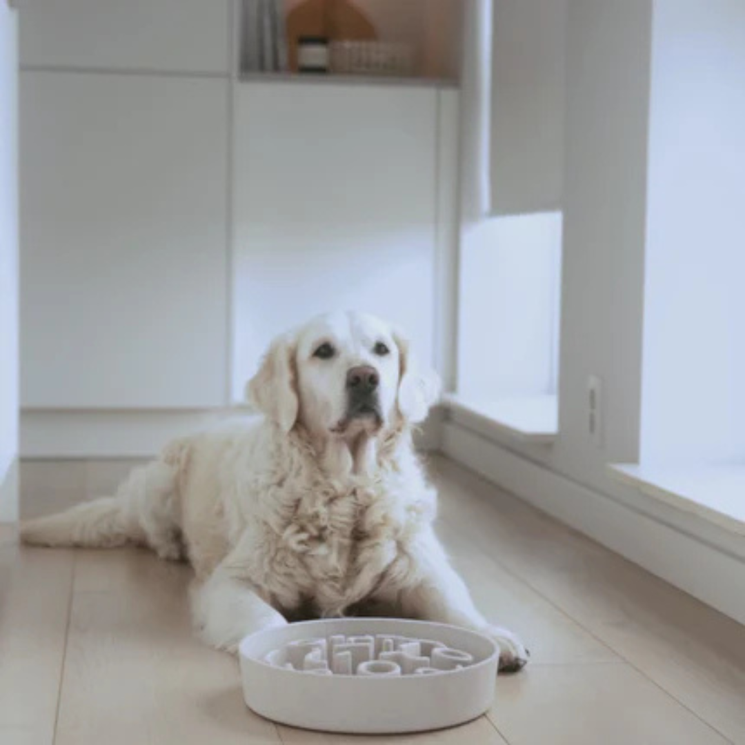 BAMBOO Slow Feeder voor Honden