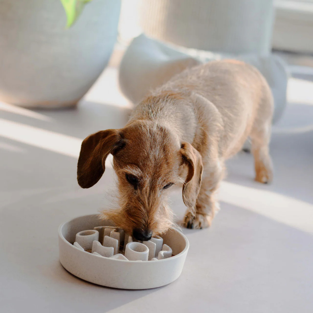 BAMBOO Slow Feeder voor Honden