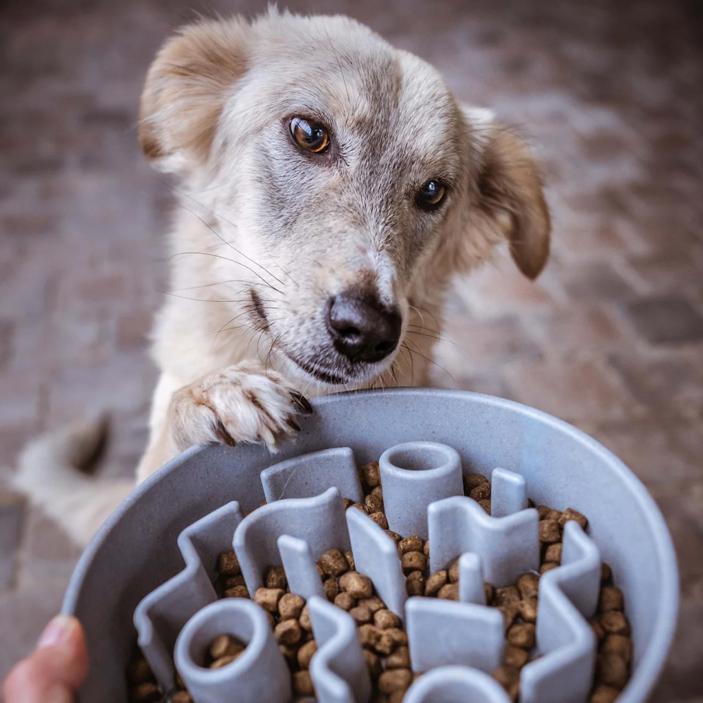 BAMBOO Slow Feeder voor Honden