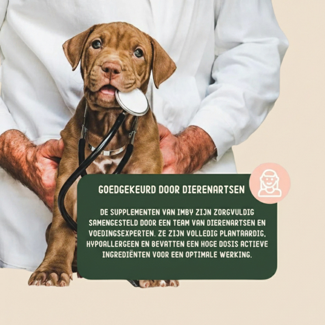 Imby Huid Gezondheid Supplement