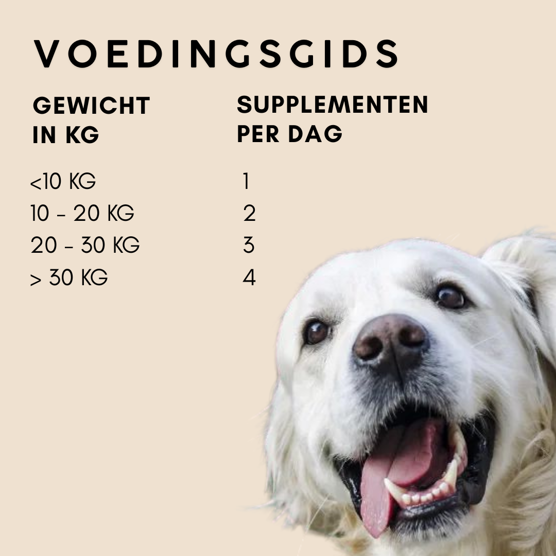Imby Huid Gezondheid Supplement