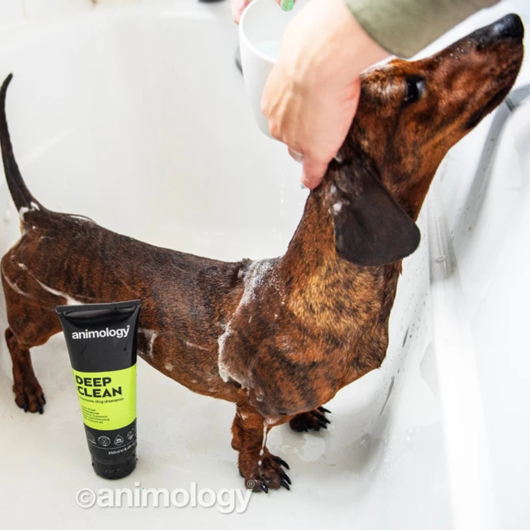 Animology Deep Clean Intensive Dog Shampoo 250 ml