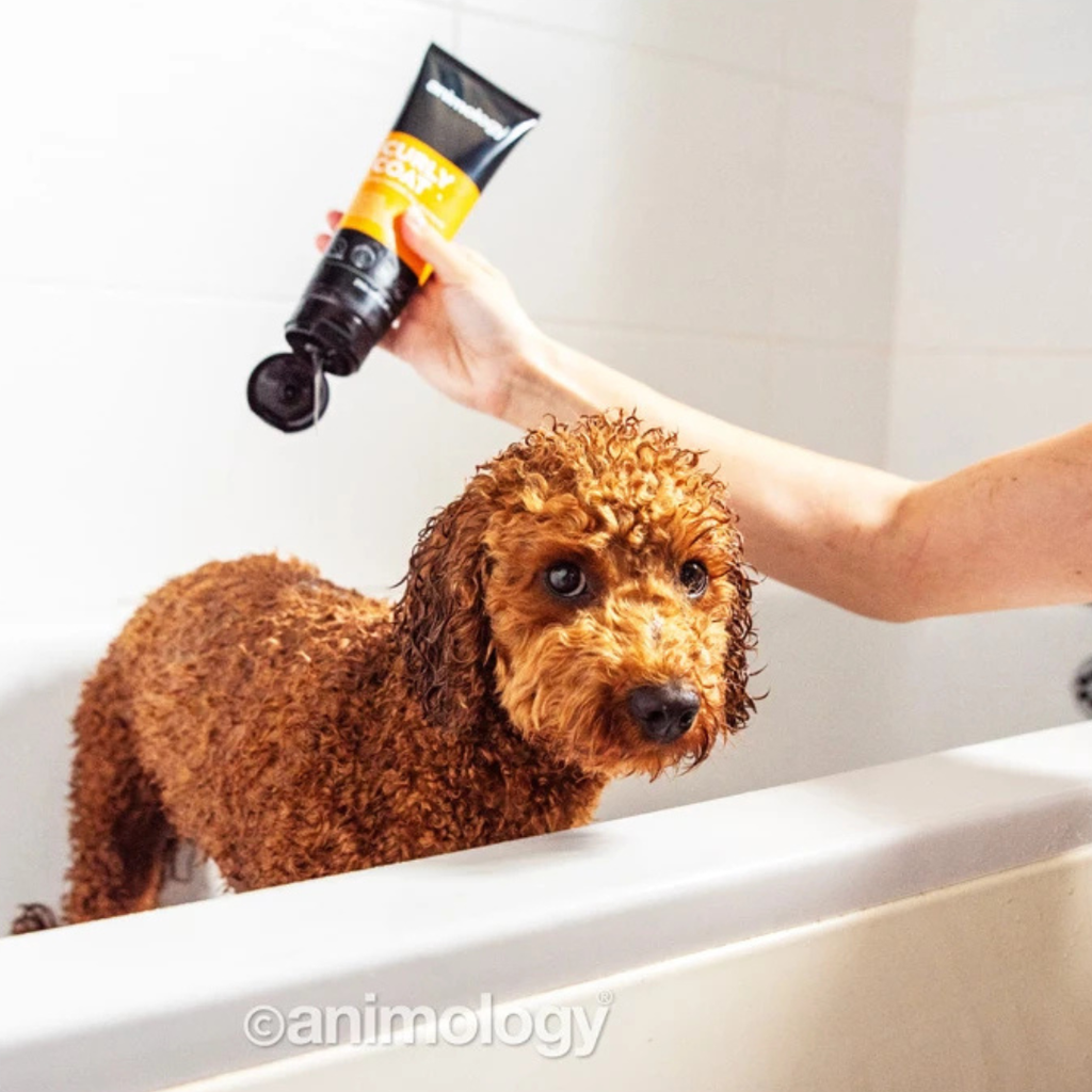 Animology Curly Coat Dog Shampoo 250 ml