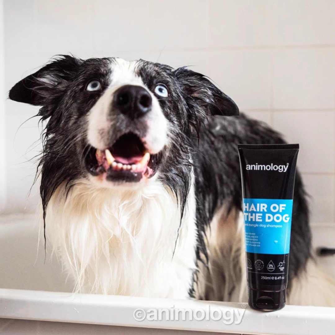 Animology Hair Of The Dog Anti-Tangle Dog Shampoo 250 ml