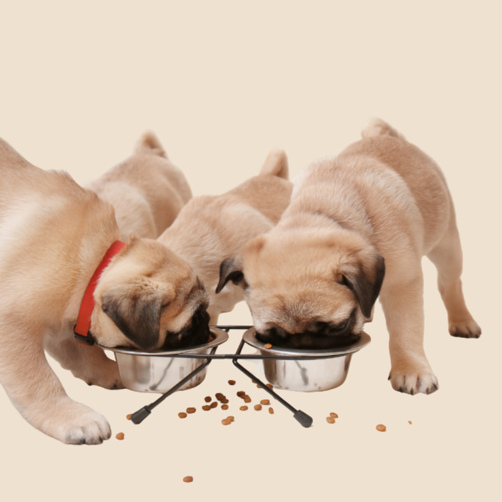 RVS dubbele voerbak met standaard